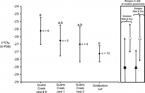 Figure 5 The stable carbon isotope composition of subfossil graminoid samples taken from paleoarctic ground squirrel nests from Goldbottom Creek and Quartz Creek sites in Yukon Territory. Where a sample set has the same letter as another sample set, then this denotes no significant statistical difference between the data sets (p ≥ 0.05). Where sample sets have different letters, this denotes there is a significant statistical difference (p ≤ 0.05). The mean δ13C (and 1 standard deviation shown) of the modern grasses from wet habitats (filled square) and dry habitats (open square) and sedges from wet habitats (filled triangle) and dry habitats (open triangle) have been corrected to account for the less negative δ13C of the atmosphere under which the subfossil plants grew. Given that the δ13C of past atmospheric CO2 for the date range of our subfossil samples was ~1‰ higher than that of today's atmospheric CO2 (CitationFriedli et al., 1986; CitationLeuenberger et al., 1992), we added 1‰ to the δ13C of the modern plants.