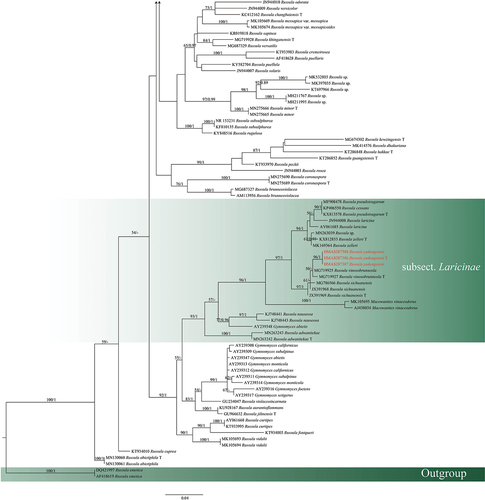 Figure 1. (Continued).