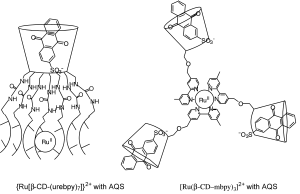 The podate (left) and wheel (right) cyclodextrin complexes with AQS guest.