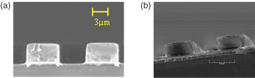 Figure 13. Cross-sectional SEM of polyimide rulings before (a) and after cure (b).