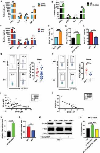 Figure 3. B7-H3 suppressed the production of IFN-γ in Vδ2 T cells via inhibiting T-bet