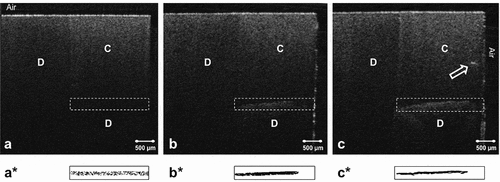 Figure 3. B-scans of selected specimens from group B