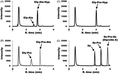 Figure 3. DPP-IV-catalyzed hydrolysis of tripeptides. The time course of the hydrolysis reaction using HPLC is shown. The gray, hatched and black lines indicate the reaction times at 0, 1 and 17 h, respectively. All peaks indicated by arrows were identified by comparison with the retention times of synthetic peptides. (A) In the case of Gly-Ala-Hyp, the resulting Hyp was not retained and eluted at void volume with the buffer matrix under the experimental conditions. (B) Gly-Pro-Ala hydrolysis is shown at the reaction times of 0 and 1 h because Gly-Pro-Ala was completely hydrolyzed to Gly-Pro and Ala after 1 h. The resulting Ala was eluted at void volume with the buffer matrix under the experimental conditions. (C) Gly-Pro-Hyp could not be hydrolyzed by DPP-IV. (D) Hydrolysis of Ile-Pro-Ile (diprotin A).