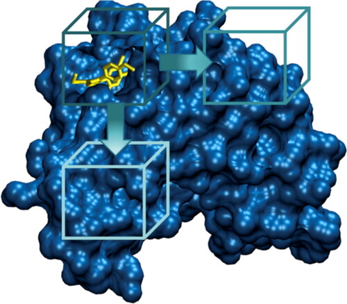Figure 1. Main idea of FD: a docking procedure is performed in each box which moves on the whole protein surface. Protein is represented in blue, ligand in yellow.