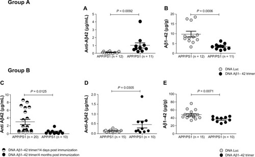 Figure 1 (A–E) Effective amyloid beta (Aβ) immunotherapy in an Alzheimer’s disease mouse model with active DNA Aβ42 trimer immunization. Results from two groups of DNA Aβ42 trimer-immunized APP/PS1 double transgenic mice and the respective control DNA-immunized mice are shown (n on the x-axis indicates the number of mice used in this particular experiment). Immunization was started in both groups in 4-month-old mice and was continued for eleven immunizations until the mice were 12 months old. Group A was killed for final analyses (plasma antibody levels, brain Aβ histology, and biochemistry) 14 days following the last immunization, while mice in group B were killed four months after the eleventh immunization. Anti-Aβ42 IgG antibody levels were shown in (A) for group A, and in (C and D) for group B. The comparison of plasma anti-Aβ42 levels of DNA Aβ42-immunized mice and control mice that had received DNA luciferase (Luc), immunizations showed in both groups the presence of Aβ42-specific antibodies in the DNA Aβ42-immunized mice (P = 0.0092 [A] and 0.0305 [D]). In both groups, a significant reduction of Aβ42 levels in brain was found in the DNA Aβ42-immunized mice in comparison to the respective control groups. Mice in group A showed an amyloid reduction of 60% (B), while mice in group B showed a reduction of Aβ42 brain levels of 25% (E). This difference might be due to the time differences in the two groups between final immunizations and brain level analyses, as well as the marked differences in total Aβ42 levels in brain due to the 4-month age difference between the analyses for mice in groups A and B. Symbols used in the diagrams are as follows: in (A, B, D, and E), the grey circles show values from Luc-immunized control mice, and the black circles show values from DNA Aβ42-immunized mice. In (C), the antibody levels were compared in the same mouse group (Group B) 14 days after the final immunization (divided black and white circles) and 4 months after the final immunization (black circles). For statistics (unpaired t-test with two-tailed P-values). P-values of #0.05 were considered significant.