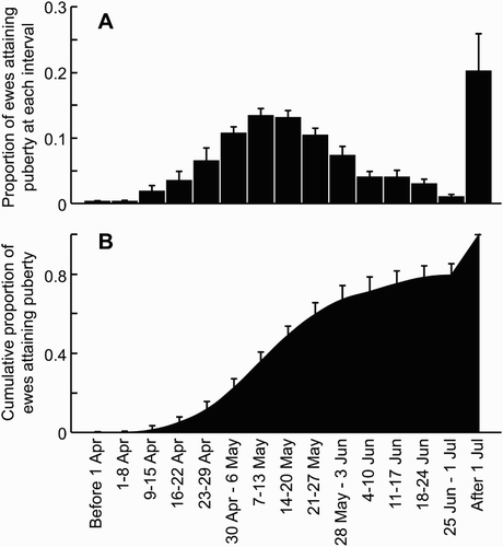 Figure 6. The timing of attainment of puberty in ewe hoggets (from Edwards & Juengel Citation2016). (A) The average (+SEM) proportion of hoggets that attain puberty in a given week. (B) The cumulative proportion (+SEM) of ewes that have attained puberty by a given week.