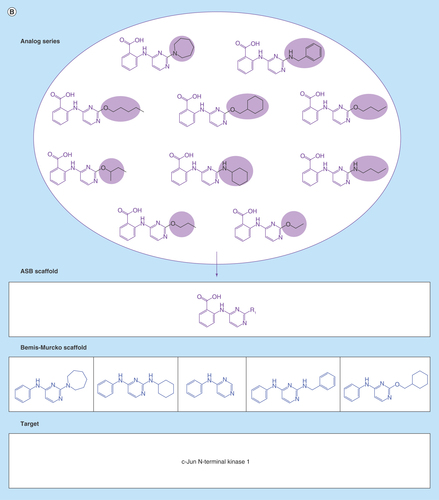 Figure 2.  Analog series-based scaffolds of exemplary analogs series.(A) Analog series-based (ASB) scaffolds from three different analog pairs (smallest possible series) are shown and color-coded according to substitution sites in analogs. Targets of each analog pair are provided. All six compounds share the same Bemis–Murcko scaffold (blue) but each pair yields a different ASB scaffold. (B) For an exemplary analog series containing 10 c-Jun N-terminal kinase 1 inhibitors, the corresponding ASB scaffold (purple) and all Bemis–Murcko scaffolds of the analogs (blue) are shown. In this case, the analog series yields five distinct Bemis–Murcko scaffolds.