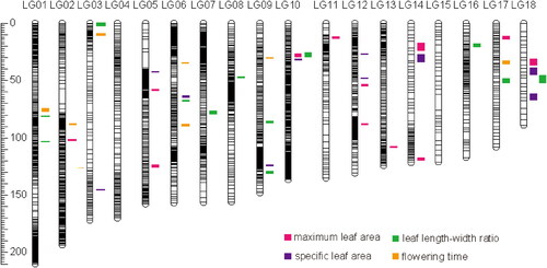 Figure 4. Genome location of significant QTLs for four traits. Confidence intervals of the QTLs are illustrated on the right side of the linkage groups.