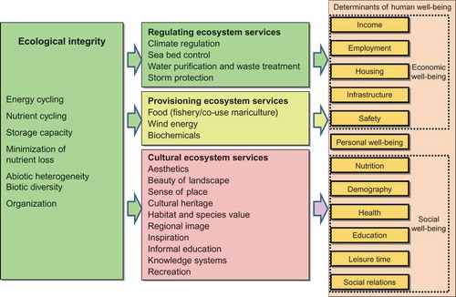 Figure 2. Marine ecosystem services potentially impacted by offshore wind farm development (direct or indirect) in the German North Sea and related determinants of human well-being.