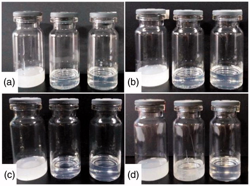 Figure 5. The appearance of microemulsions during a short-term storage (A: initial; B: 3 days; C: 7 days; D: 10 days, and from left to right is pae:men 6:4, 5:5 and 4:6).