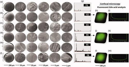 Figure 1. Scanning electron micrographs of microcapsules of F1–F6 (a–f; with F2, F4 and F6 being treatments) and corresponding energy dispersive X-ray analyses (g), and confocal imaging of stained CDCA with corresponding analytical laser depth (F2: h and i, F4: j and k and F6: l and m).