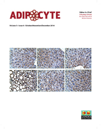 Cover image for Adipocyte, Volume 3, Issue 4, 2014