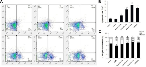 Figure 2 Effect of Cur on the cell apoptosis and cell cycle distribution of CCC-SMC-1 cells. (A) cells were incubated with Cur for 48h, followed by staining with Annexin V/PI. (B) apoptosis rate of CCC-SMC-1 cells (C) Data are presented as cell cycle histograms. The data are represented as mean±s.d. *P<0.05, compared with the control group, #P<0.05, compared with the AngⅡgroup. All experiments were repeated at least 3 times.