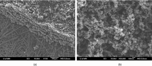 FIG. 9 Examples of SEM images of soot particle cakes on filters.