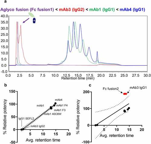 Figure 4. (a) FcγRIIIa affinity LC-UV chromatograms of four representative therapeutic protein modalities: aglycosylated Fc fusion protein (purple), IgG2 mAb (red), and two IgG1 mAbs with different glycosylation patterns (blue and green). (b) Correlation plots showing relationship between relative binding affinity to average weighted retention time with outlier samples removed. (c) Correlation plots of relative binding affinity to weighted retention time including outlier samples