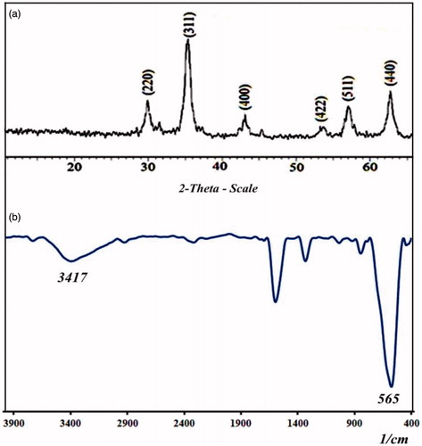 Figure 1. (a) XRD and (b) FT-IR spectrum of Fe3O4 nanoparticles.
