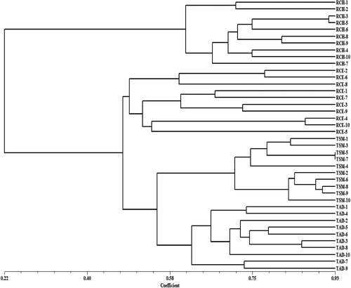 Figure 4. An UPGMA dendrogram of 40 S. lazica accessions from four locations obtained by analyzing 40 SSR loci.