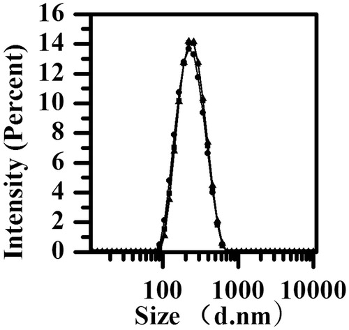 Figure 1. The particle size distribution of nanosuspension (n = 3).