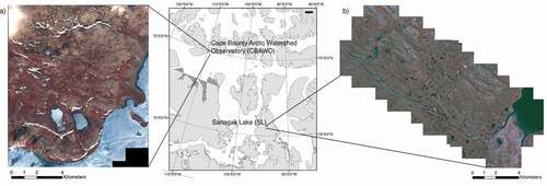 Figure 1. IKONOS multispectral data for the study sites: (a) Cape Bounty Arctic Watershed Observatory (CBAWO), Melville Island, Nunavut (collected in 2004); and (b) Sanagak Lake (SL), Boothia Peninsula, Nunavut (collected in 2001). IKONOS images are displayed as color infrared composites: Bands 4 (near infrared), 3 (red), and 2 (green)