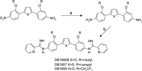 Scheme S1 Reagents and conditions: (a) H2/Pd (C), EtOH, and EtAOc or SnCl2-2H2O, EtOH, and DMSO, 80°C and (b) (i) S-(2-naphthylmethyl)-2-pyridylthioimidate-HBr, EtOH, and CH3CN and (ii) EtOH/HCL or CHCl2/CH3SO3H.