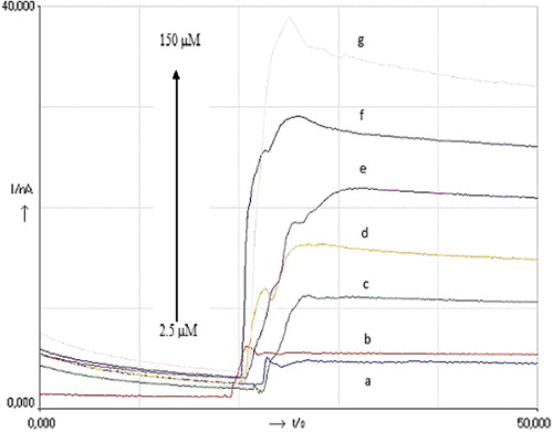 Figure 3. The amperometric response of the successive addition of H2O2 from 2.5 to 150 μM at + 0.47 V potential vs Ag/AgCl.