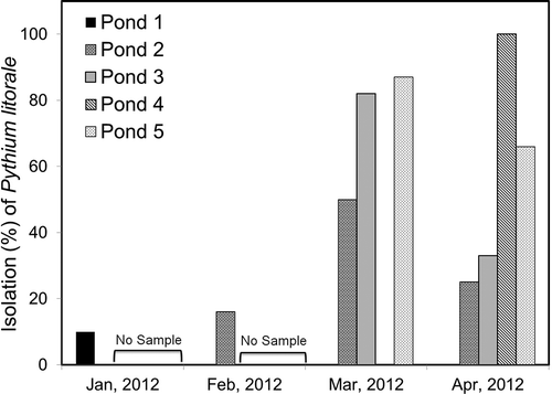 Fig. 1. Isolation frequency of Pythium litorale (percent of total Pythium and Phytophthora spp.) from five vegetable irrigation ponds in southern Georgia.