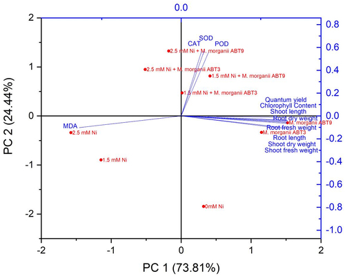 Figure 6. Principal component analysis plot illustrating the effect of Ni-tolerant Morganella morganii isolates inoculation on biomass, photosynthetic parameters, and antioxidative enzymatic activities in Arabidopsis plants grown under Ni stress.