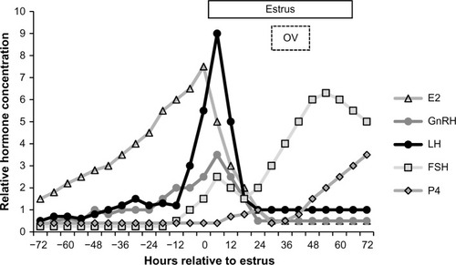 Figure 2 Representative hormonal profile of LH (ng/mL), FSH (ng/mL), estradiol (pg/mL), progesterone (ng/mL), and GnRH (pg) during proestrus in relation to the timing of estrus and OV in the mature female pig.