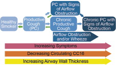 Figure 2. Schematic overview of PC by severity and the associated symptoms, circulating CC16 levels, and airway wall thickness. Note that transition to a healthier state drops once the most severe state is reached.