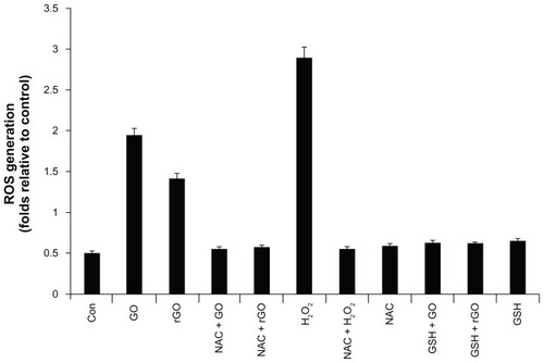 Figure 10 Effect of GO and rGO on ROS generation in Pseudomonas aeruginosa.Notes: ROS generation was measured by nitro blue tetrazolium (NBT) assay. Cells were treated separately with GO and rGO (100 μg/mL) for 2 hours. Cells were pretreated with NAC and GSH to a final concentration of 1 mM. NBT reduction was stopped by adding acetic acid to the incubation medium. Reduced NBT was dissolved in dimethyl sulfoxide, and the absorbance was determined at 560 nm. The results represent the means of three separate experiments, and error bars represent the standard error of the mean. Treated groups showed statistically significant differences from the control group by Student’s t-test (P < 0.05). Positive control for ROS generation was obtained by the addition of H2O2 to a final concentration of 3 mM.Abbreviations: GO, graphene oxide; rGO, reduced graphene oxide; ROS, reactive oxygen species; NBT, nitro blue tetrazolium; NAC, N-acetylcysteine; GSH, glutathione.