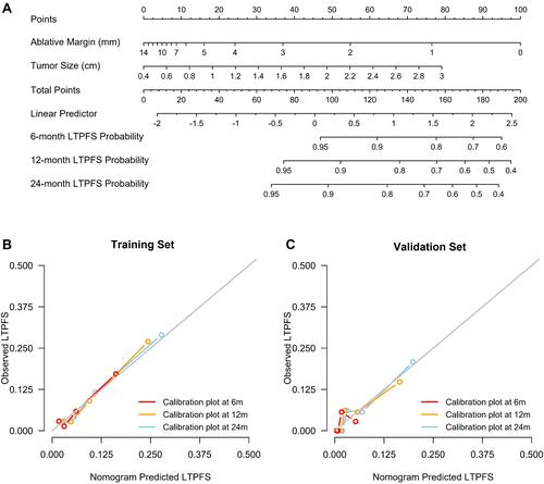 Figure 5 The development and validation of a predictive nomogram model. (A) the nomogram consisting of the quantitative tumor size and ablative margin were shown; (B) The calibration plots for the 6-, 12-, and 24-month LTPFS had good predictive value in the training set; (C) The calibration plots for the 6-, 12-, and 24-month LTPFS had good predictive value in the validation set.