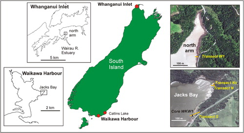 Figure 1 Location of studied salt marshes, transects and core in Jacks Bay, Waikawa Harbour and north arm, Wairau River estuary, Whanganui Inlet, South Island, New Zealand.