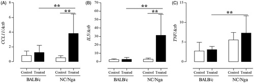 Figure 5. TMA-induced effects on mast cell-related expression of genes encoding cytokines in NC/Nga and BALB/c mice. (A) CCL11, (B) IL-5, and (C) TNF gene expression in lung tissues. Gene expression values are presented as increase in expression compared with value for Actb, and are reported as means ± SD (n = 8/group). Values were significantly different the control group, or between TMA-treated NC/Nga mice and TMA-treated BALB/c mice are indicated (**p < 0.01).