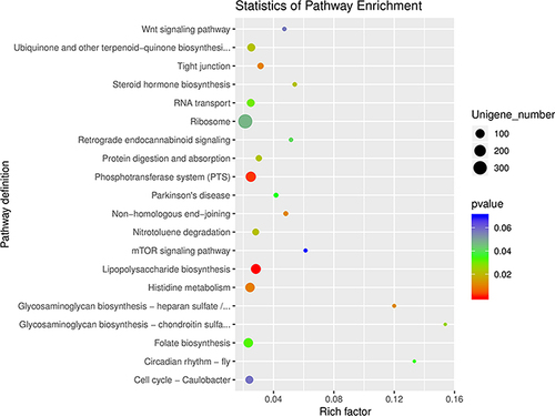 Figure 5 The KEGG enrichment analysis of gut microbiota in the DKD and non-DKD groups. The smaller the p-value, the higher the degree of enrichment.