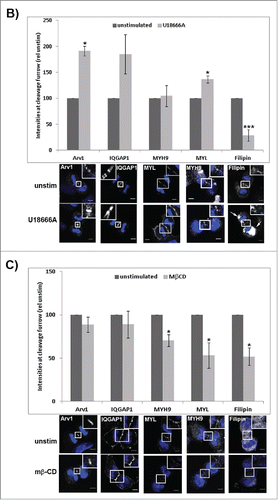 Figure 6. (Continued)