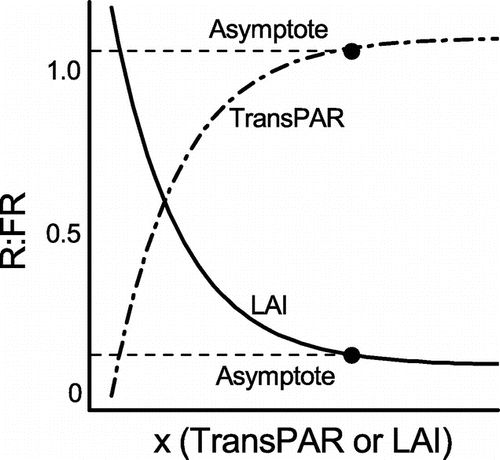 Figure 2. Schematic curve of an exponential function [Equation (Equation2(2) )] fitted to the relationships between R:FR and TransPAR (– · –) and LAI ( – ).