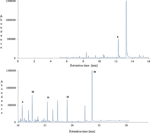 Figure 2. A typical gas chromatogram of thyme honey (no.1) from Morocco. Key volatile compounds of geographical origin are numbered (8-12) and indicated in bold. IS: internal standard.