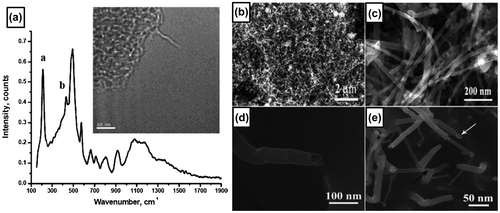 Figure 8. (a) Raman spectrum and TEM image (inset) of boron nanotube. Owing to the extreme beam sensitivity and charging of the sample, the image is blurred and out of focus. Reprinted with permission from Ref. [Citation130]. Copyright 2004 American Chemical Society. (b) Low-magnification SEM image of large-area boron nanostructures. (c) Magnified SEM image of the boron nanostructures. (d) SEM image of a boron nanotube tip. (e) High-resolution SEM image of the boron nanowires and boron nanotubes at the growth stage. Black and white arrows indicate a boron nanotube and a boron nanowire, respectively. Reproduced from Ref. [Citation131] by permission of The Royal Society of Chemistry.