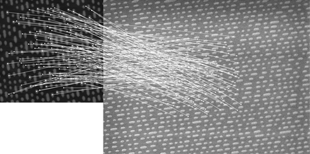 Figure 9 Feature correspondences between an image pair of the DVD sample set. Only correct matches are displayed. The left image shows the AFM scan, and; the right image shows the SEM scan.