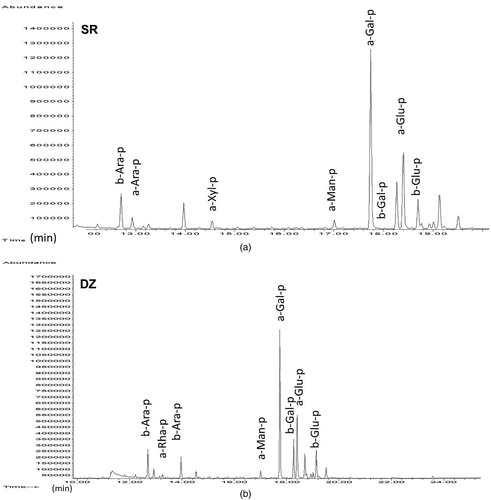 Figure 16. Chromatograms of the rest of the samples of preparation layer from archaeological sites in the state of Campeche: Sta. Rosa Xtampak (SR) and Dzibilnocac (DZ). Acronyms as in Figure 5.