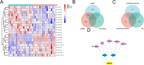 Figure 6 Construction of the lncRNA–miRNA–mRNA network. (A) Heat map of GSE70080. Each column represents a blood sample and each row represents a differentially expressed miRNA. (B) The combination of 10 hub genes and miRNA target genes via the two kinds of databases. (C) The union of my lncRNAs dataset and predicted miR-122 and miR-532 target genes from lncACTbd3.0. (D) The lncRNA–miRNA–mRNA network. The circles, diamonds, and squares indicate the lncRNAs, miRNAs, and genes, respectively.
