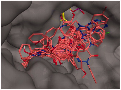 Figure 1. Binding poses of the full molecular series (dark pink) in the active site of 7AAT. The cofactor pyridoxal phosphate is reported in yellow.