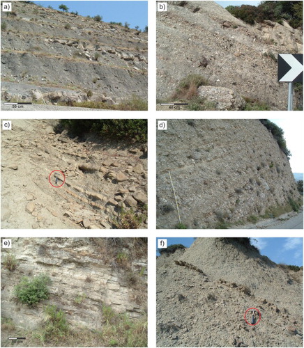 Figure 3. The CN succession: (a) Alternation of well stratified sandstone and mudstone of Petraro unit (Upper Oligocene – Burdigalian); (b) stratified conglomerate and coarse-grained sandstone of Pietra dell’Avvoltoio unit (Langhian); (c) alternated sandstone strata and mudstone in torbidic facies of Monte Palumbo unit (Langhian–Serravallian); (d) stratified conglomerate with clasts and locally boulders of Cozzo della Madonna unit (Serravallian–Tortonian); (e) well stratified sandstone of Terravecchia unit (Serravallian–Tortonian); (f) mudstone with intercalation of thin arenite strata Morenile unit (Tortonian).