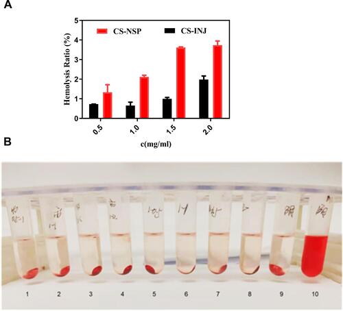 Figure 6 (A) Comparison of hemolysis rate of CS-NSP and CS-INJ. (B) Appearance of red blood cell suspension with (1–4) CS-NSP, (5–8) CS-INJ, (9) negative control, and (10) positive control after centrifugation, respectively.