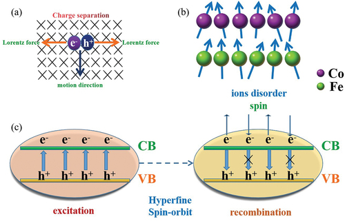 Figure 14. (a) Lorentz force (b) ions disorder, and (c) spin polarization.