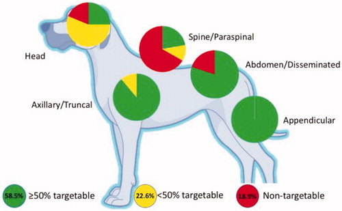 Figure 2. Anatomic distribution of targetable STS tumours by body regions. Pie charts placed at sites labelled head, truncal/axillary, spine/paraspinal, appendicular and abdomen/disseminated illustrate the distribution of all soft tissue sarcomas (53) as, ≥50% targetable (green), <50% targetable (yellow) and non-targetable (red) tumour categories. The spine/paraspinal and head sites had the largest relative percentage of non-targetable STS. Image adapted with permission [Citation55].