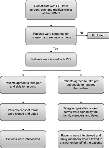 Figure 1 Overview of study procedure.