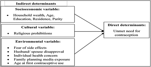 Figure 3. Conceptual framework