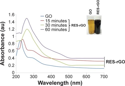 Figure 1 Synthesis and characterization of GO and RES-rGO by UV-vis spectroscopy.Notes: Spectra of GO exhibited a maximum absorption peak at approximately 231 nm, which corresponds to a π–π* transition of aromatic C–C bonds. The absorption peak for reduced GO was red shifted to 260 nm. At least three independent experiments were performed for each sample, and reproducible results were obtained. The data present the results of a representative experiment.Abbreviations: au, arbitrary unit; GO, graphene oxide; RES-rGO, resveratrol-reduced GO.
