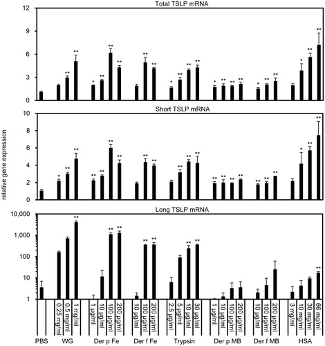 Figure 3. High-allergenic proteins effects on potent loTSLP transcription in keratinocytes. Dose-related changes in TSLP transcriptions in cultured primary human keratinocytes after treatment with the indicated concentrations of high- (WG, Der p Fe, Der f Fe, and trypsin) and low- (Der p MB, Der f MB, and HSA) allergenic proteins for 3 h [in triplicate]. Relative gene expression represents ratio of each mRNA in sample-exposed keratinocytes to corresponding mRNA in control cells. *p < 0.05, **p < 0.01 vs. PBS control.